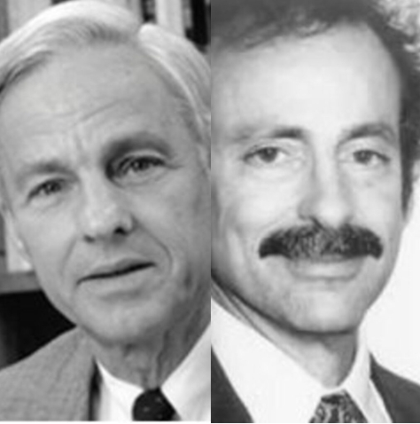 Atkinson y Shiffrin -Lenguaje-