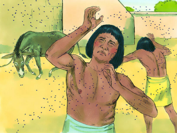 Dust into Lice (Exodus 8:6-19