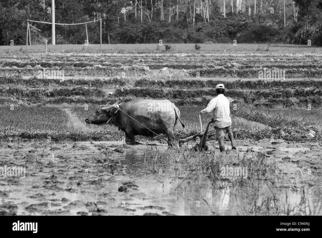 Anti-slavery demonstration of poor peasants