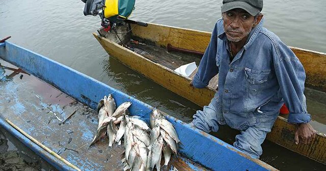 Afectación a los Humanos