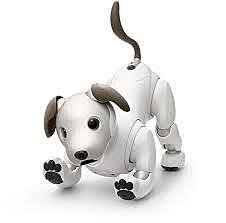 Chien robot : Aibo