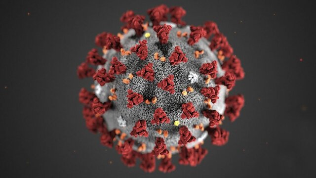 Arriba a españa el covid