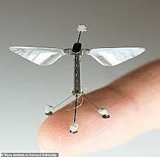 Microbot : Robofly