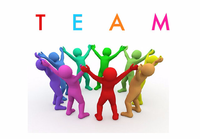 Partner/Team introduction