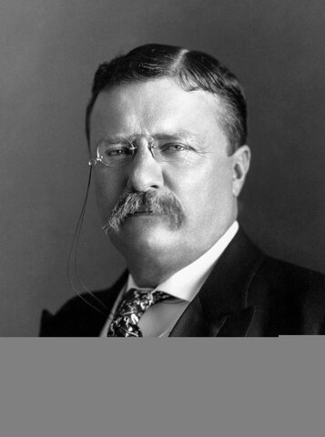 Theodore Roosevelt becomes President