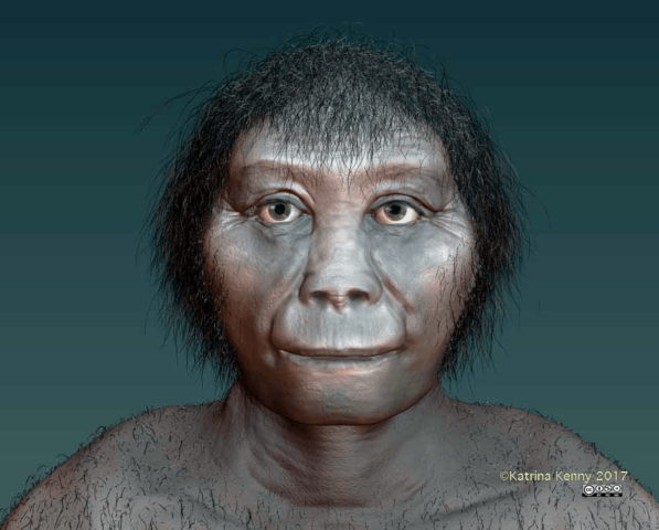 Extinción del Homo Floresiensis