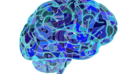 Timeline: HISTORIA DE LA PSICOMETRÍA