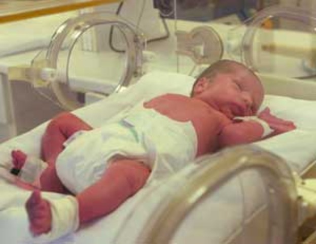 CASO DANIEL MIRAFLOREZ