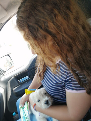 Tuvimos una cita express con el periijo