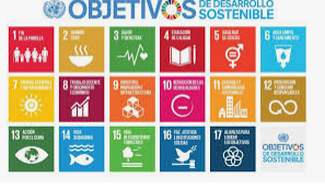 se dota a las contralorías internas de autoridad para ejercer plenamente en el ámbito de competencia de la Secretaría de Contraloría y Desarrollo Administrativo.