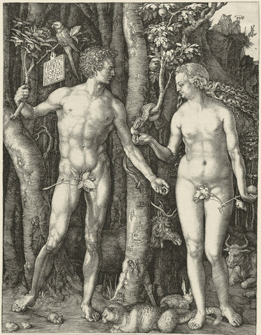 Adán y Eva, 1504
