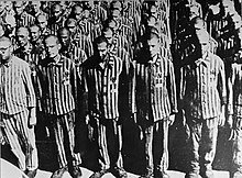 Soluzione finale del problema ebraico