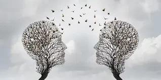 2017 Politica i naturalesa