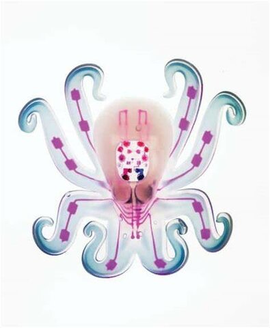 Octobot