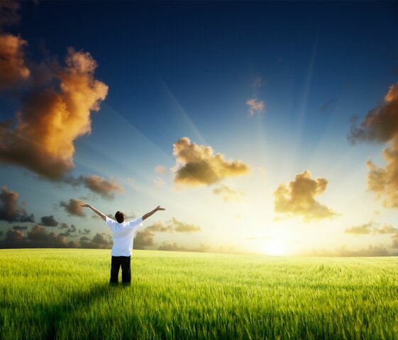 Skadesprincippet (Frihed)