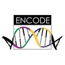 Projecte Encode.