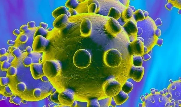 Comançament pandemia (covid-19)