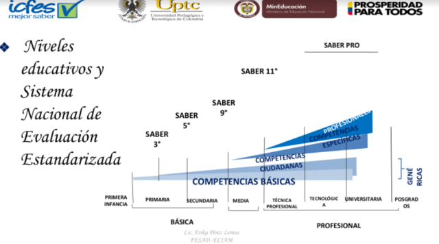 Pruebas estandarizadas y evaluación por competencias