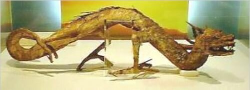 Un dragón loong cayó al río del condado de Leting