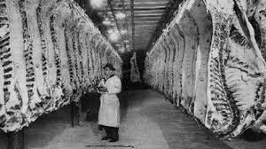 The Jungle Published