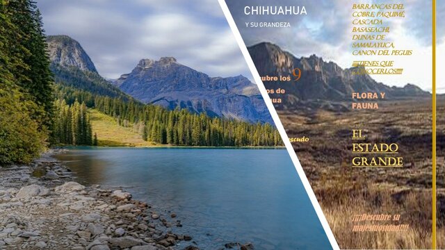 Siglo XX De la Geografía General y Geografía Regional a la diversidad de enfoques.