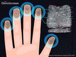 Las Huellas Dactilares
