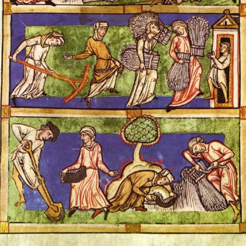 Sentència arbitral de Guadalupe