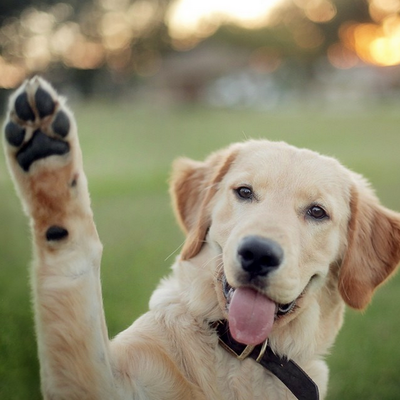 Timeline: línea de tiempo con los principales hitos de la historia de Internet