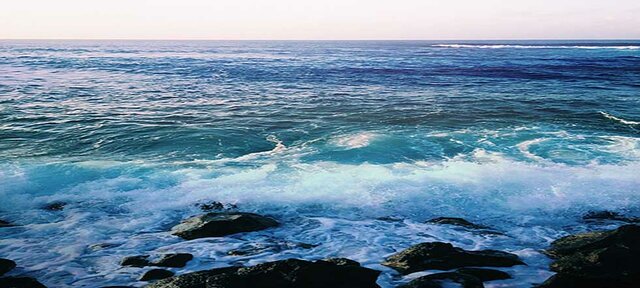 Gran Océano y Vida Microscópica