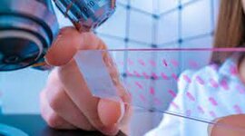 Timeline: Historia de la Histología