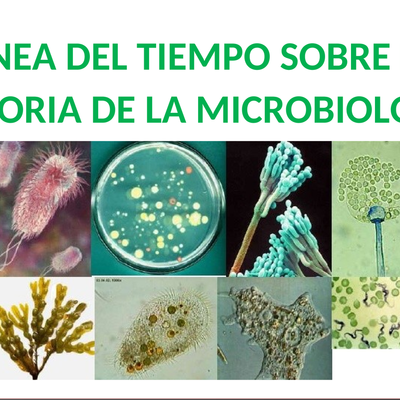 Timeline: Historia de la microbiología