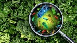 Timeline: Historia de la Microbiología