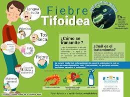 Vacuna contra la Fiebre Tifoidea