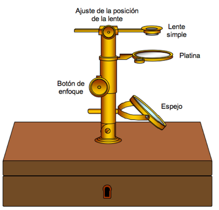 Microscopio Simple