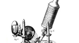 Timeline: Historia de la microbiología