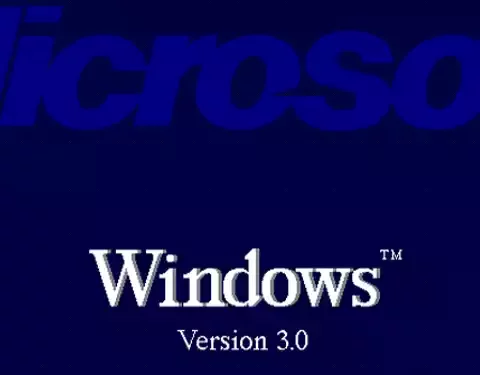 Windows 3.0