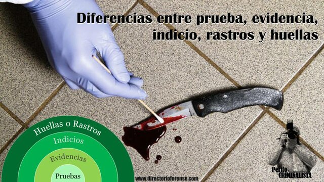 Etapa Probatoria o Demostrativa