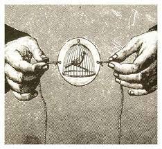 Invención del taumatropo