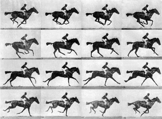 "El caballo en movimiento"