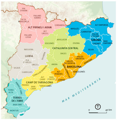 Va regnar a Barcelona, Girona i Ososna.