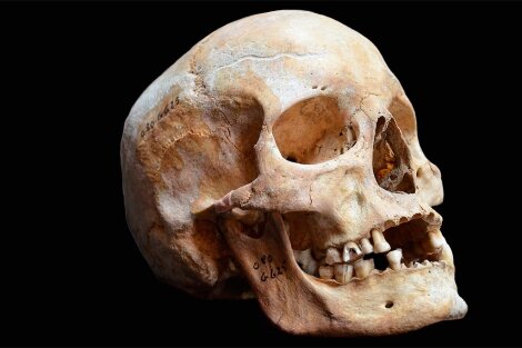 Aparició de l'ésser humà