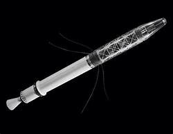 Explorer 1