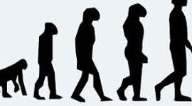 Timeline: L'evoluzione del uomo
