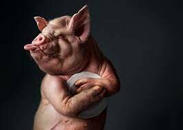 Jefferson gets compared to a hog