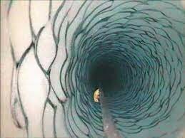 3. Seres vivos en la profundidad de la Antártida