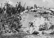 Battle of Tarawa