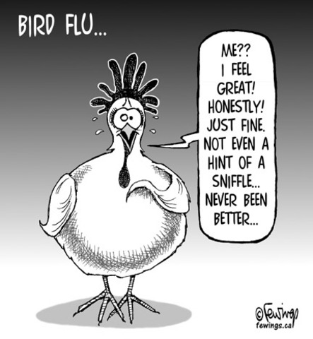 Bird flu bonanza