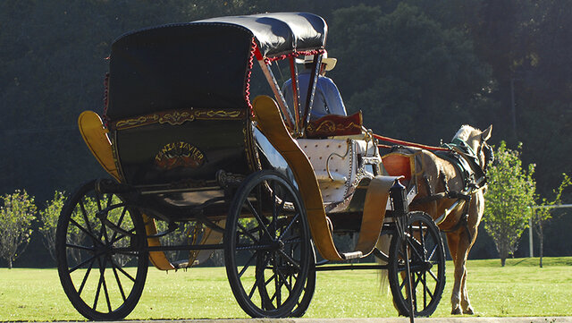 Jonathan Harker´s Journal