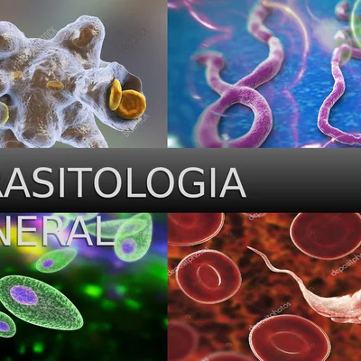 Timeline: HISTORIA DE LA PARASITOLOGÍA