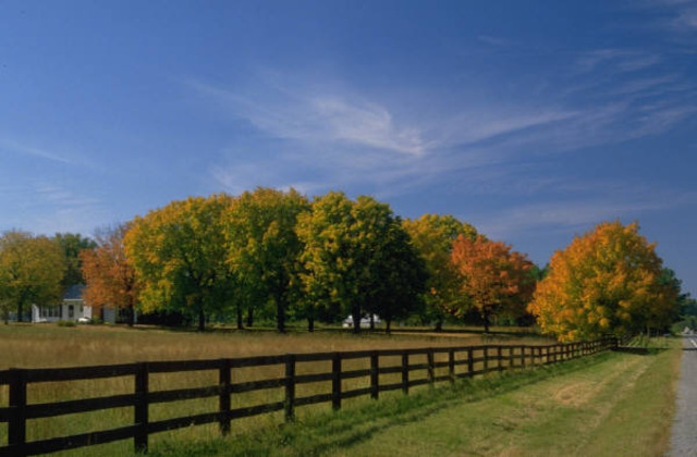 Moved to Georgia with Step-Father and Mother